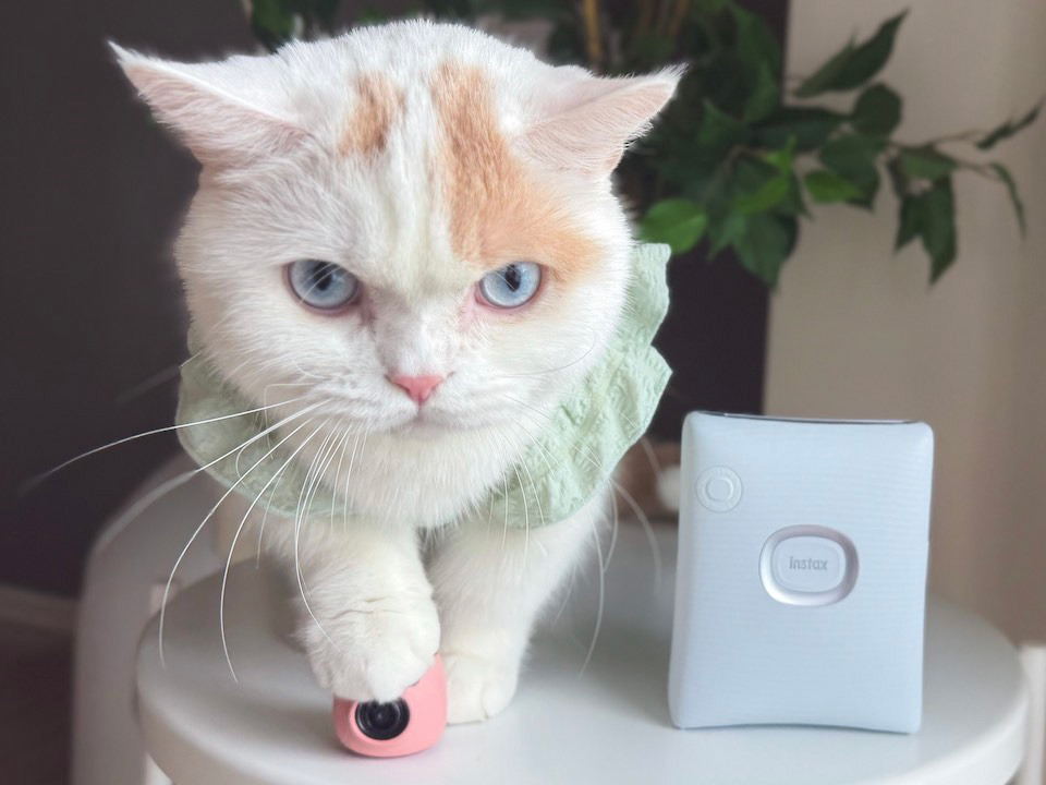手のひらサイズカメラ「instax Pal™」で覗く、ほたてくんのごき