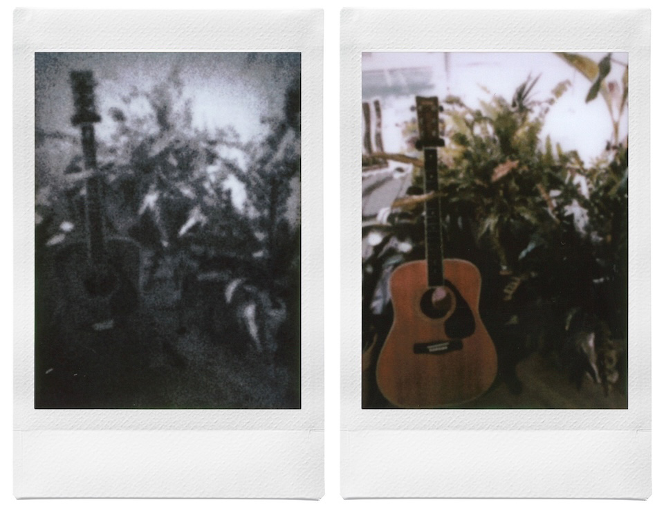ギターと植物を撮影した2枚のチェキプリント