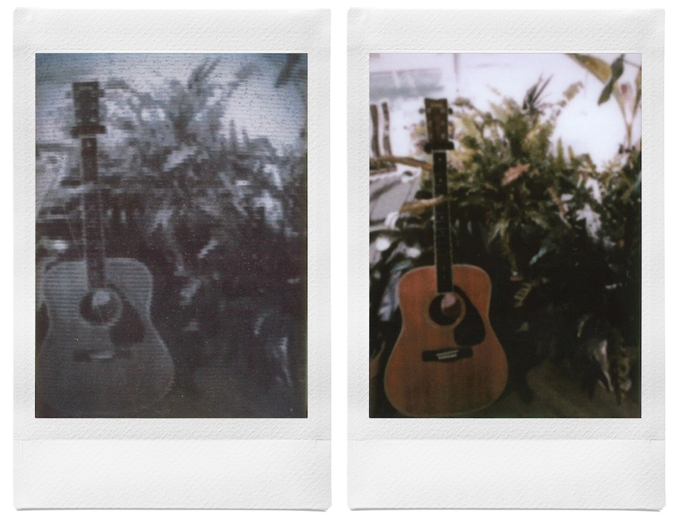 ギターと植物を撮影した2枚のチェキプリント