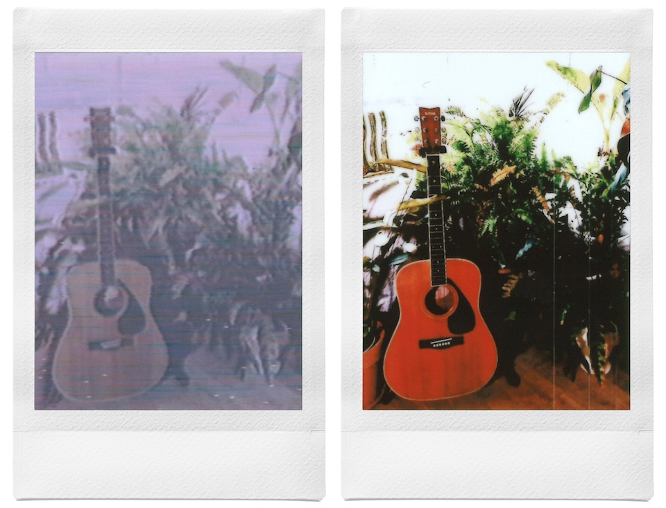 ギターと植物を撮影した2枚のチェキプリント