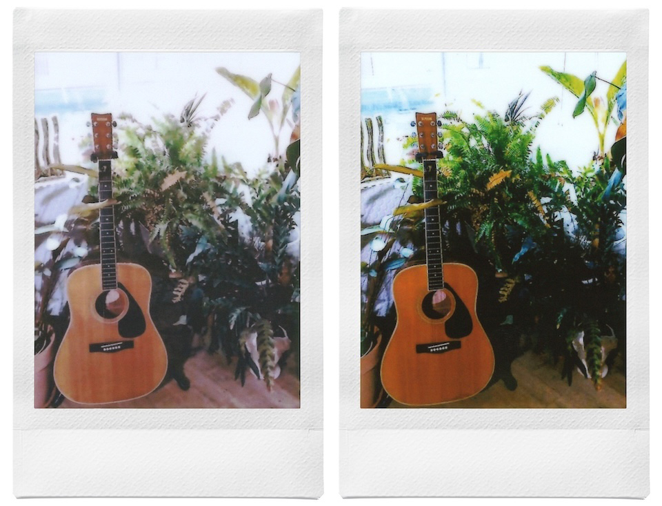 ギターと植物を撮影した2枚のチェキプリント