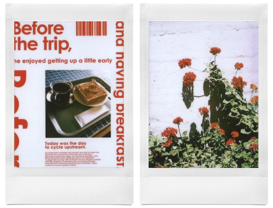 グラフィックと花を撮影した2枚のチェキプリント