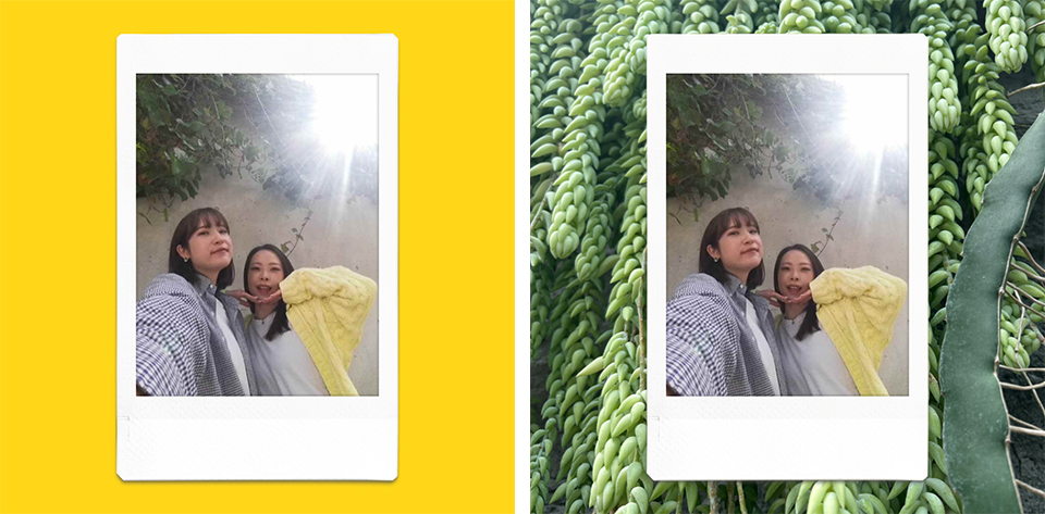 2人で撮影したセルフィーの画像に黄色の背景カラーを設定した場合と植物の背景画像を設定した場合の2枚のプリント画像