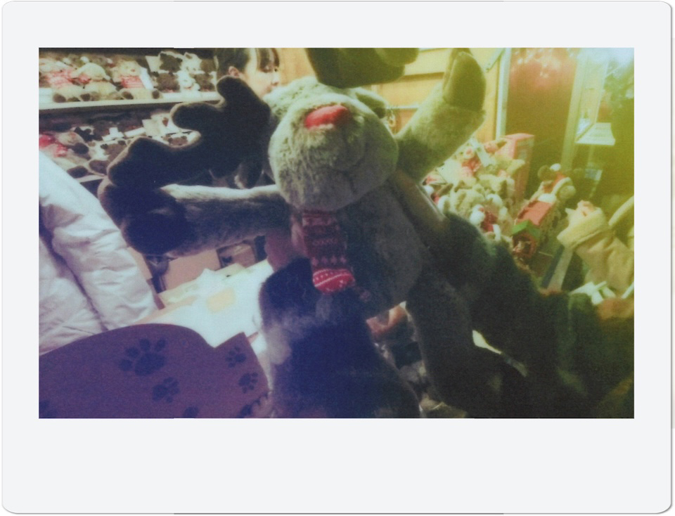 トナカイのぬいぐるみを撮影したチェキプリント