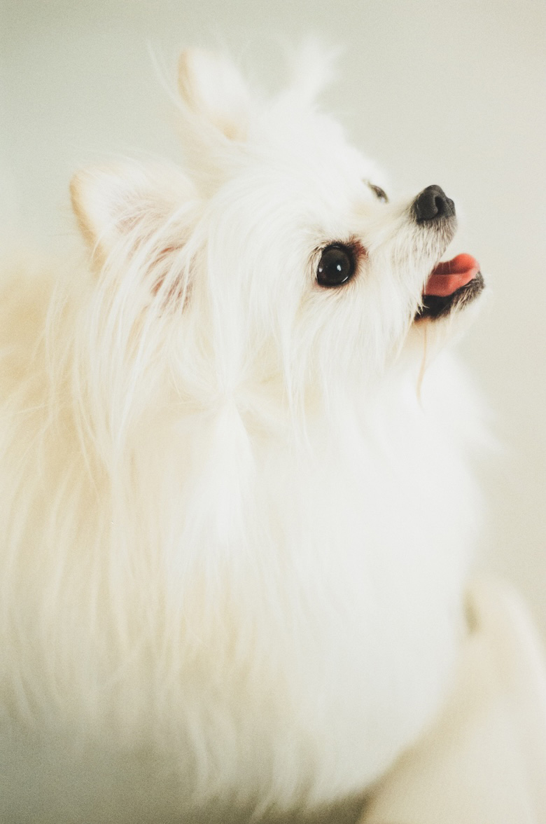 横顔を撮影した写真