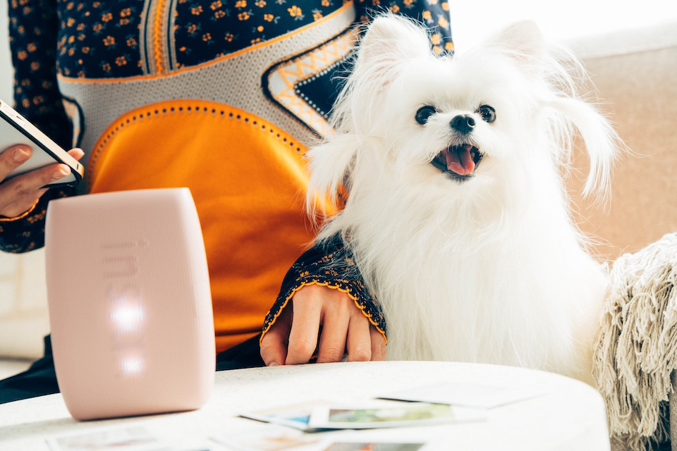 飼い主の横に座っている写真