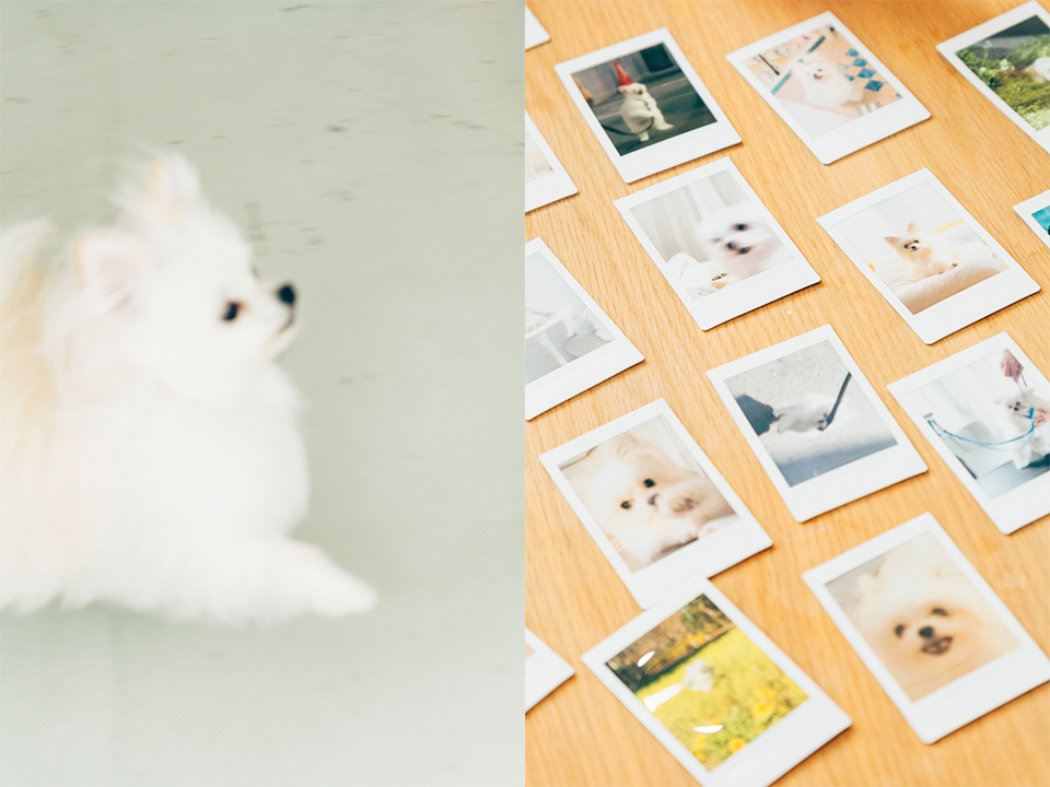 横からの姿を撮影した写真と多くのチェキプリントが並べられている写真