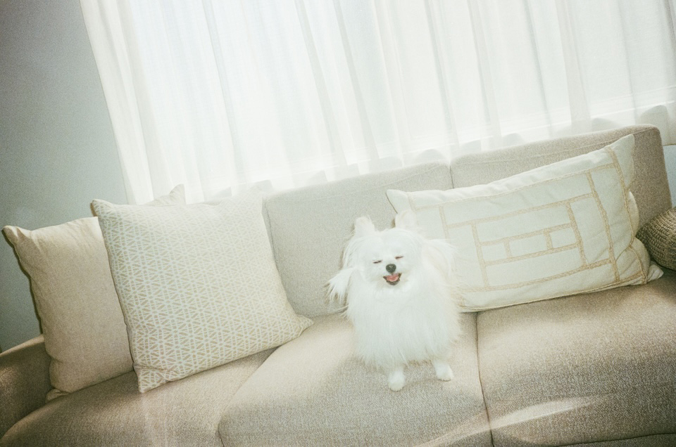 ソファーの上で両目をつぶっている写真