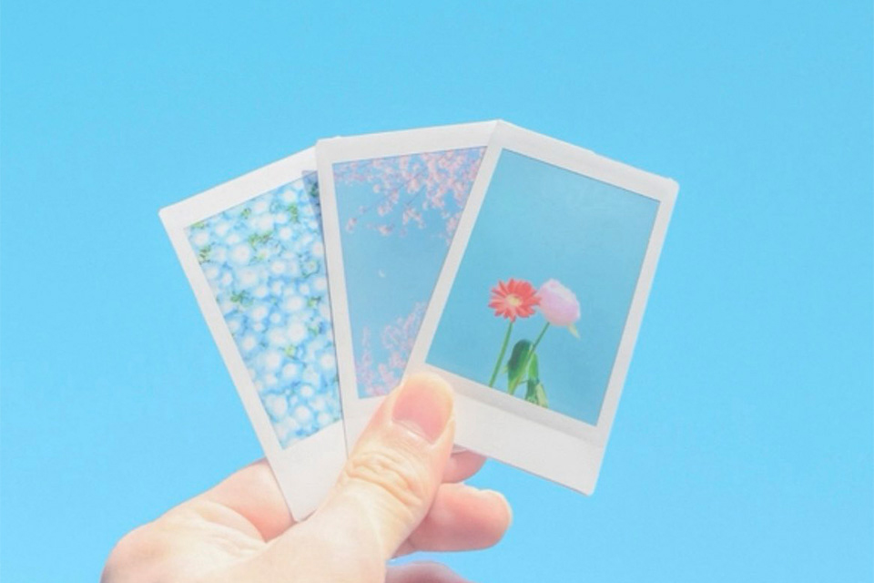 初夏のひととき」にいいね！#instaxで集まった投稿まとめ【Cheki Press