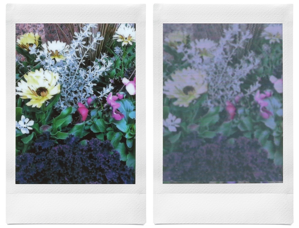 光の加減や質感を調節する前後を並べた2枚のチェキプリント