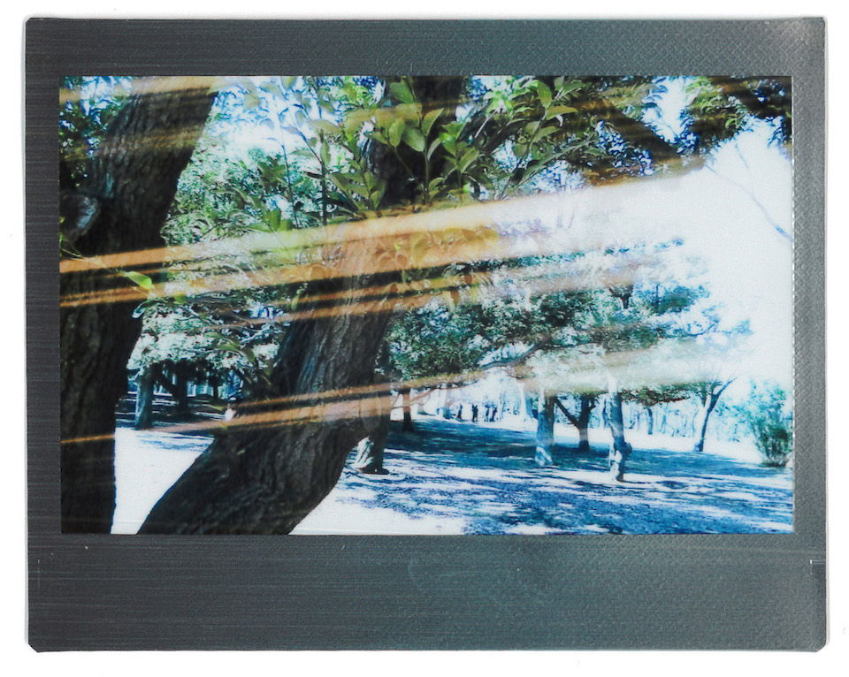 木の幹を撮影し中央に光のエフェクトを設定したチェキプリント